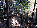 goken070_thumb.png