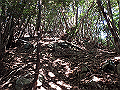 goken072_thumb.png