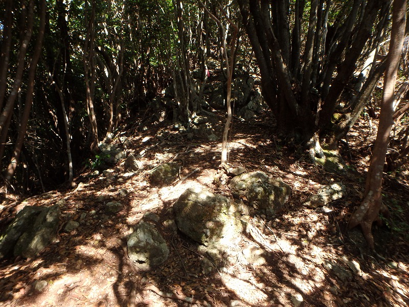 goken074.jpg