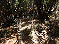 goken074_thumb.png