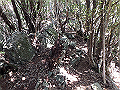 goken078_thumb.png