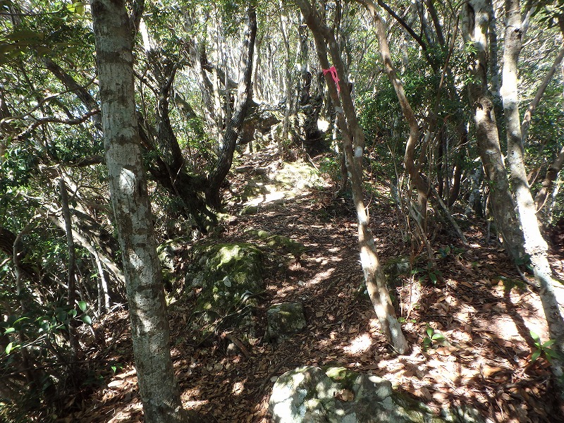 goken080.jpg