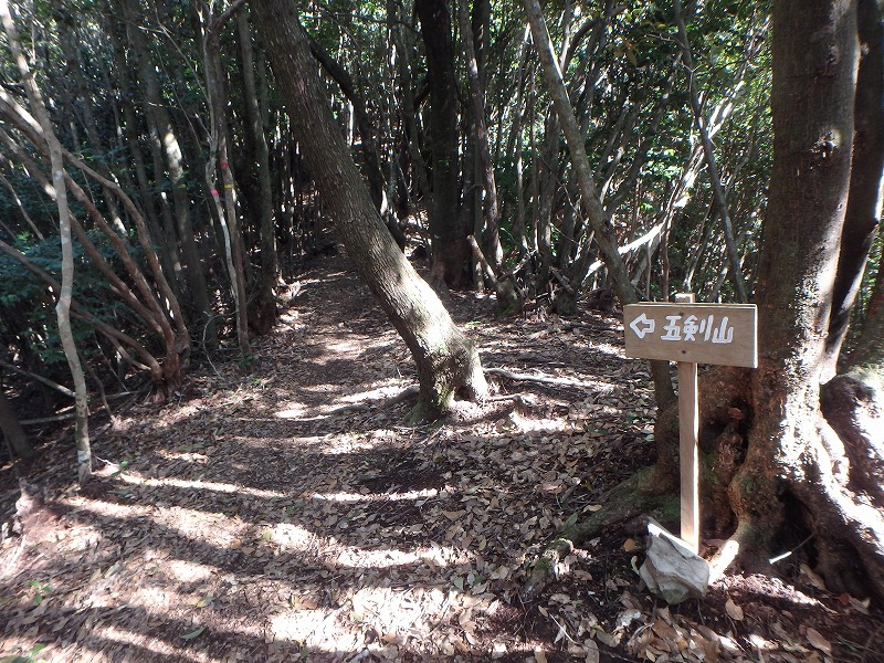 goken081.jpg