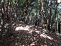 goken084_thumb.png