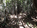 goken086_thumb.png