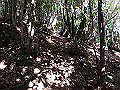 goken087_thumb.png