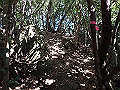 goken088_thumb.png