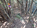 goken091_thumb.png