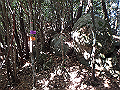 goken096_thumb.png