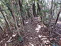goken105_thumb.png