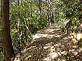 gose009_thumb.png