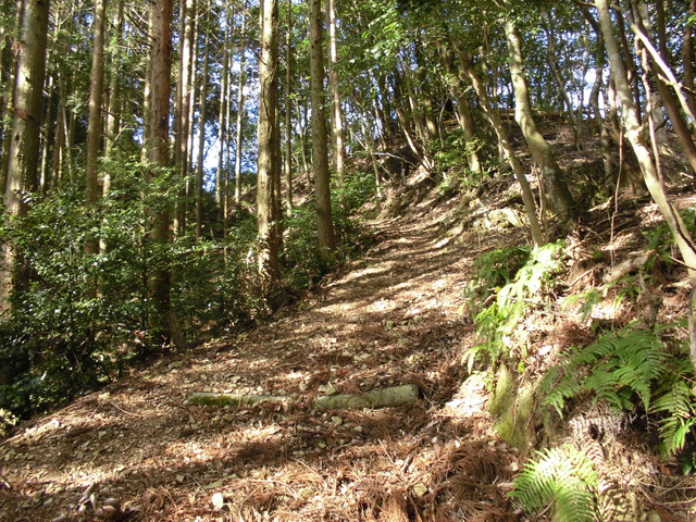 gose012.jpg