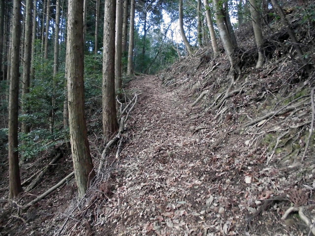 gose014.jpg