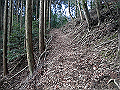 gose014_thumb.png
