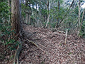gose015_thumb.png