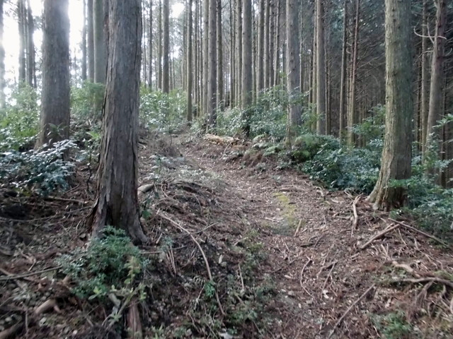 gose017.jpg