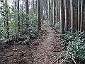 gose018_thumb.png