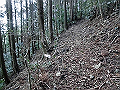 gose019_thumb.png