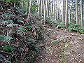 gose020_thumb.png