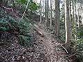 gose025_thumb.png