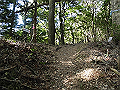 gose026_thumb.png
