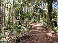 gose028_thumb.png