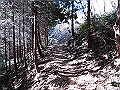 gose029_thumb.png