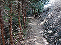 gose030_thumb.png