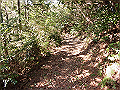 gose037_thumb.png