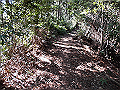 gose038_thumb.png
