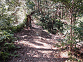 gose039_thumb.png