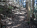 gose040_thumb.png