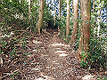 gose041_thumb.png