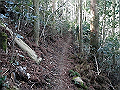 gose042_thumb.png