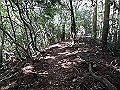 gose043_thumb.png