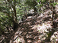 gose044_thumb.png