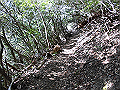 gose045_thumb.png