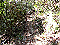 gose046_thumb.png