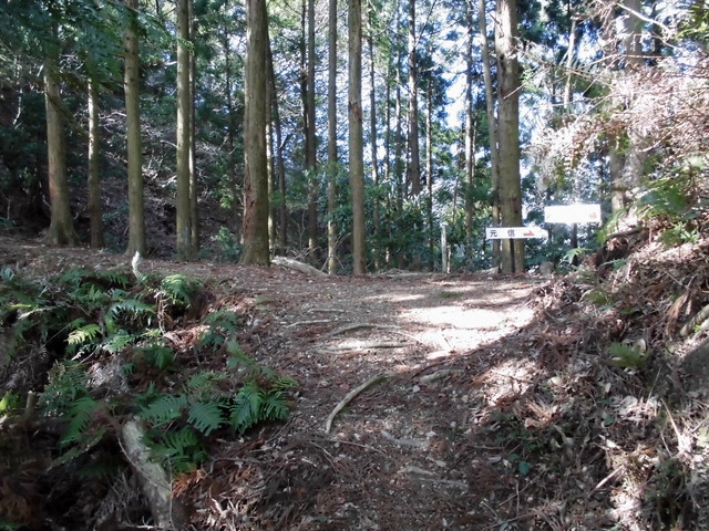 gose048.jpg