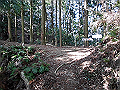 gose048_thumb.png