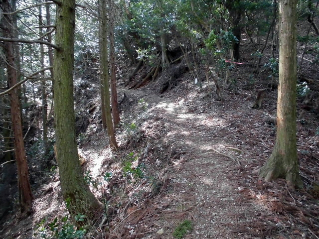 gose049.jpg