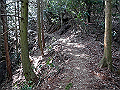 gose049_thumb.png
