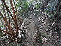 gose050_thumb.png