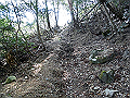 gose051_thumb.png