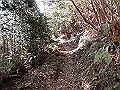 gose052_thumb.png