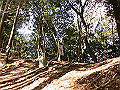 gose054_thumb.png