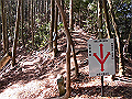 gose055_thumb.png