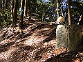 gose056_thumb.png