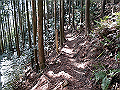gose057_thumb.png
