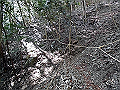 gose059_thumb.png